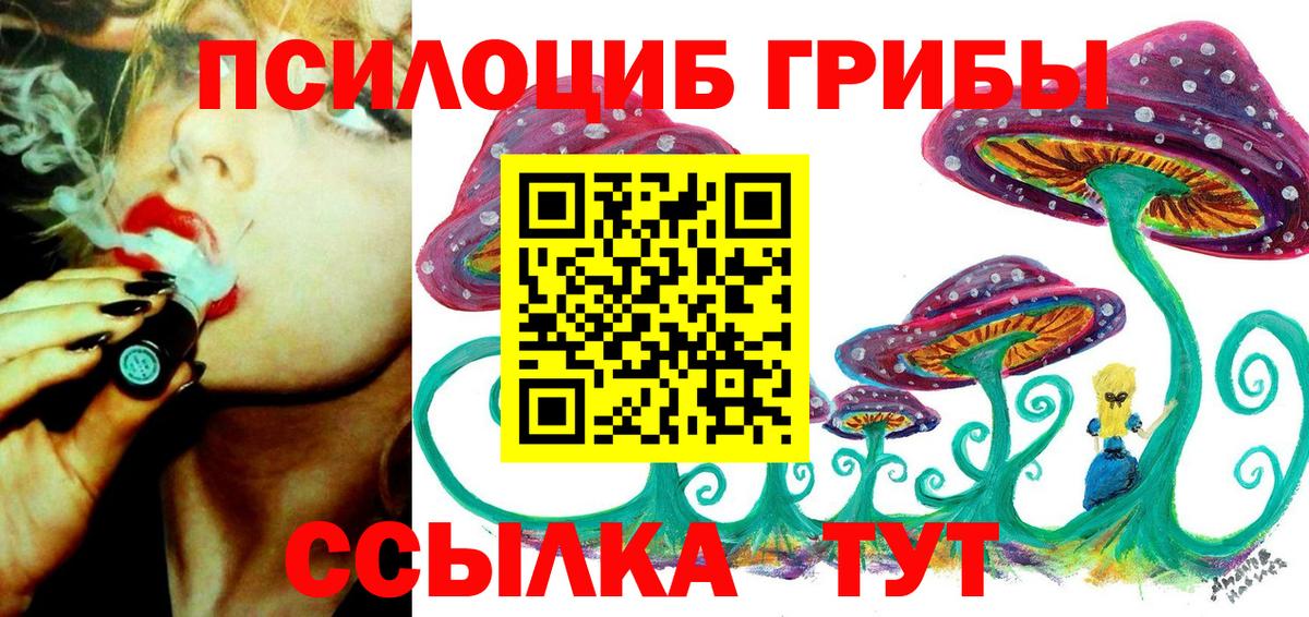 Галлюциногенные грибы Psilocybe Таганрог