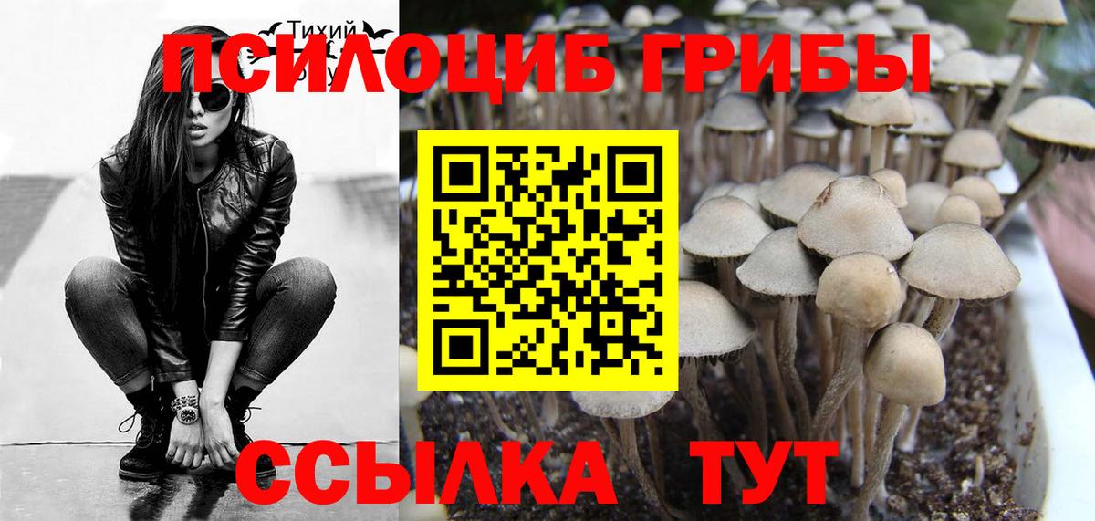 Таганрог  Галлюциногенные грибы мухоморы  Псилоцибиновые грибы мухоморы  Вход с VPN 
